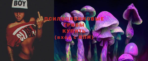 дмт Алексин