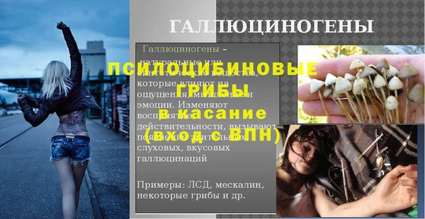 дмт Алексин