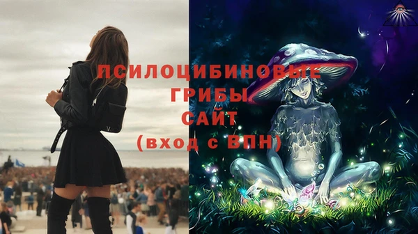 дмт Алексин