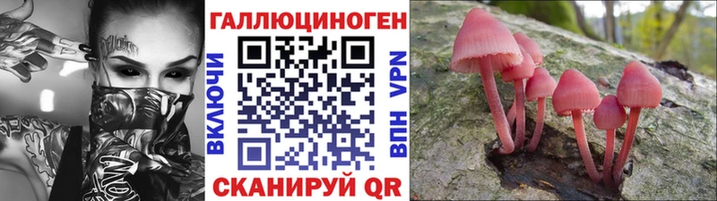 Галлюциногенные грибы Magic Shrooms  ОМГ ОМГ   Талдом 